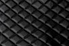 biometric gun safe lather