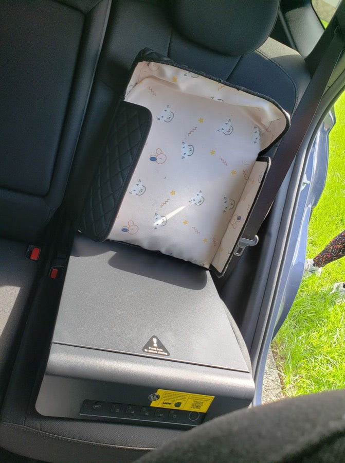 Customer photo of their BoostedSafe