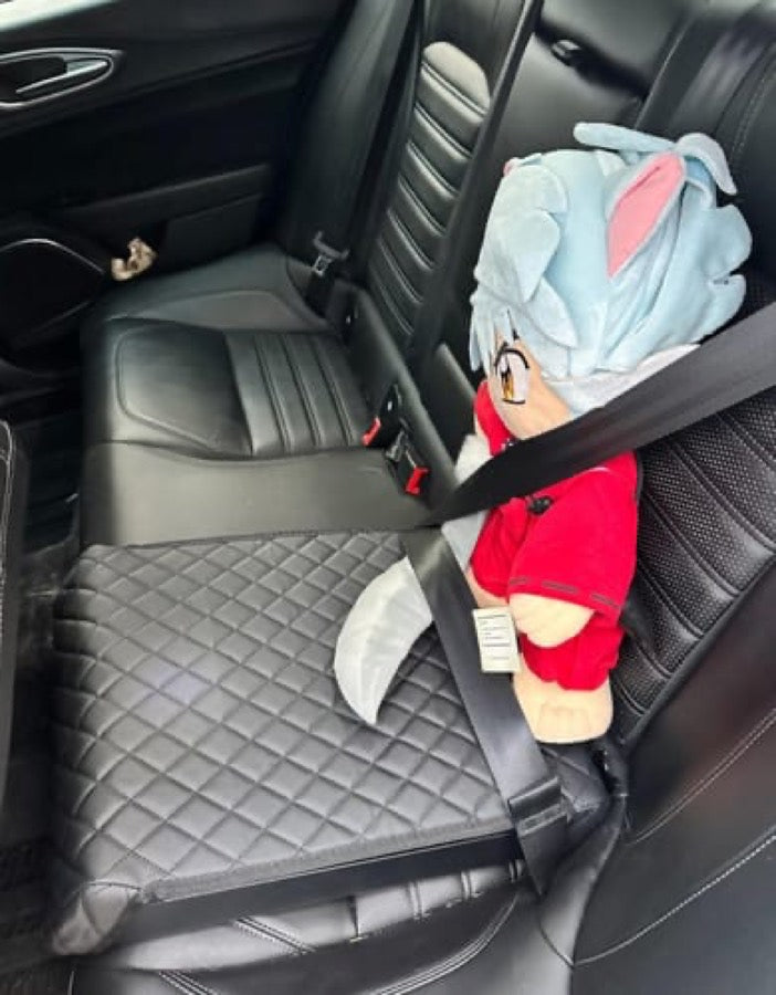 Customer photo of their BoostedSafe